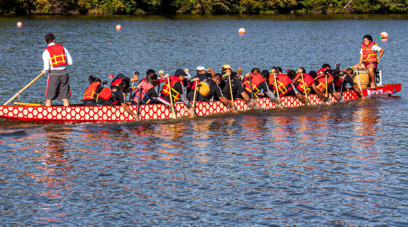 Dragon Boat Racers